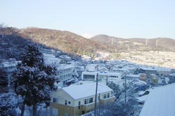 20060205.jpg
