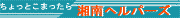 �����N�p�o�[�i�i�A�C�R���j�Î~��f�h�e�@869B