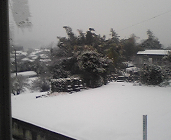 雪化粧