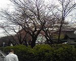 20080324d.jpg