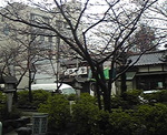 20080324f.jpg