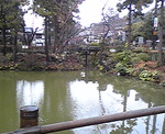 20080324g.jpg