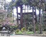 20080324h.jpg