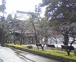 20080324n.jpg