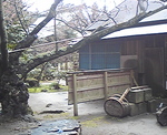 20080324p.jpg