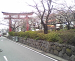 20080324v.jpg