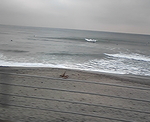 20080324y.jpg
