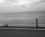 海