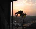 綺麗な夕日