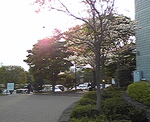 平塚総合体育館