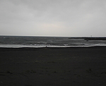 海