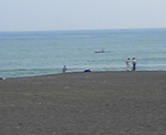 海