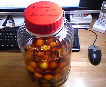 初めての梅酒作り