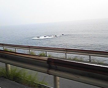 綺麗な海