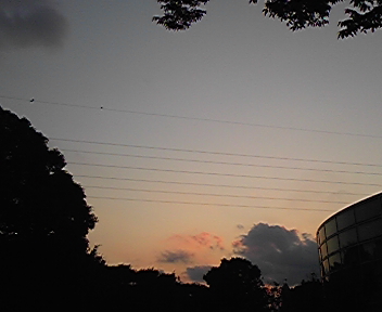 今日の夕焼け
