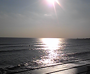 綺麗な海