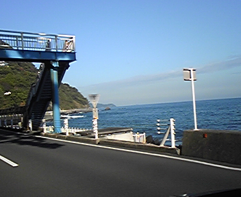 海