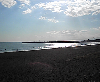 綺麗な海
