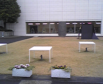 芝生で食事中の小鳥