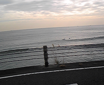 ウニを助けた海岸
