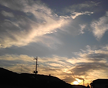 綺麗な夕日