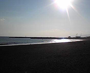 綺麗な海