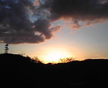 綺麗な夕日