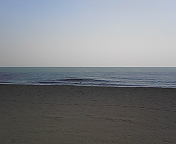 海