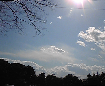 金魚雲