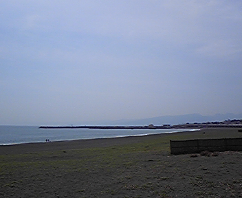 海