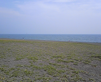 海