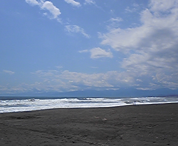 海