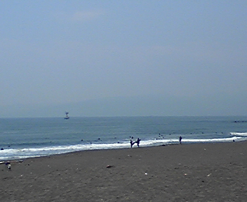 海