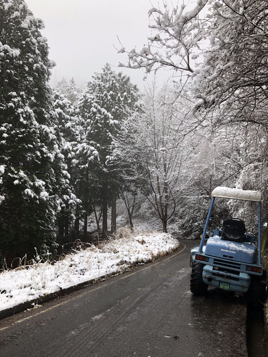 山道のお掃除