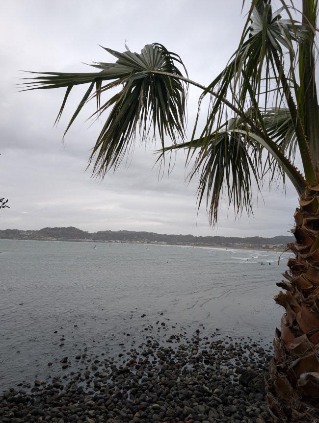 今日は吹きました! It was very windy today!