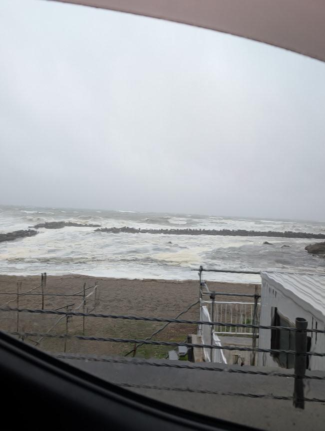 今日は吹きました! It was very windy today!