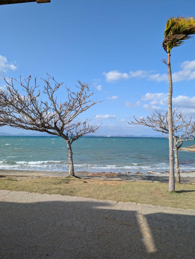 沖縄でウインドサーフィン