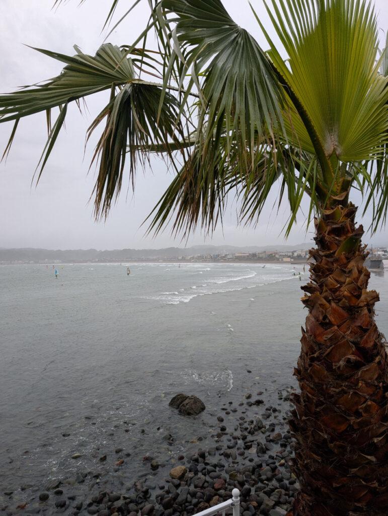 今日も風がありました！ It was windy again today!