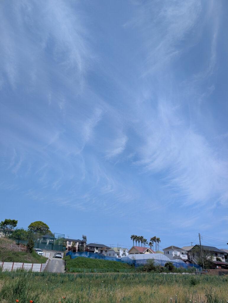 綺麗な筋雲 Beautiful cirrus clouds