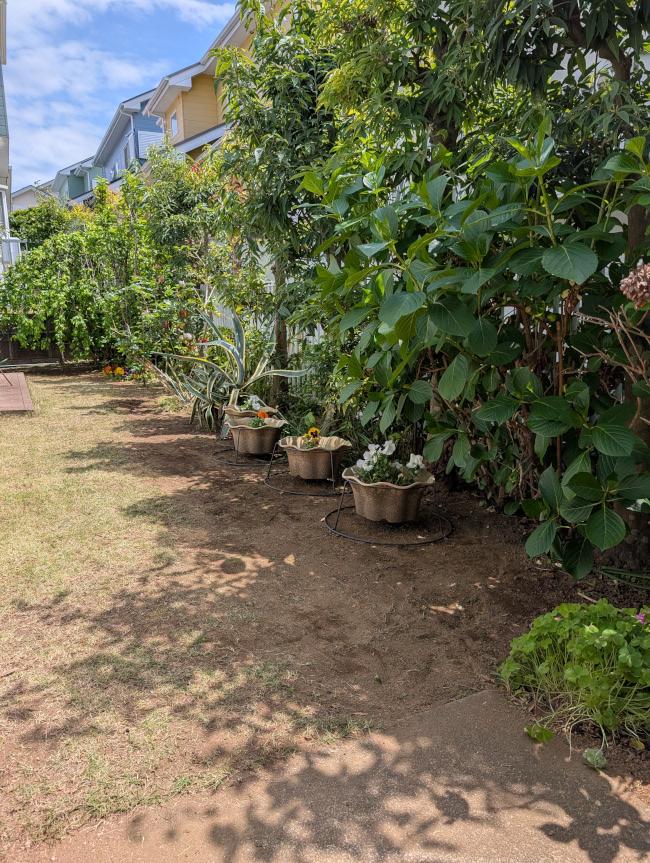 草木や土に触れて心癒される仕事 A job that soothes the soul by touching plants and soil.