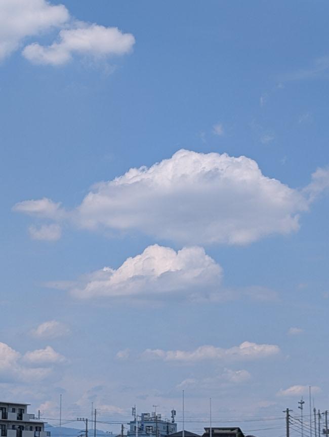 カツオ雲 Clouds shaped like bonito fish