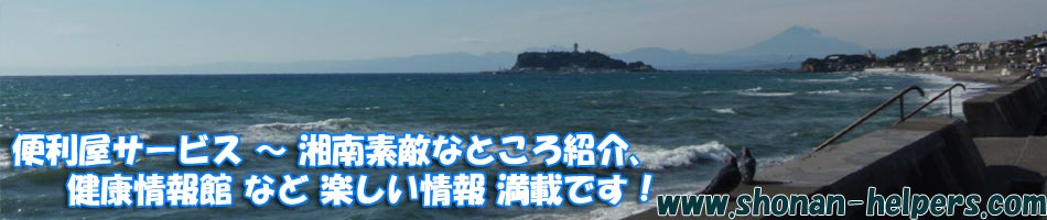 湘南ヘルパーズ